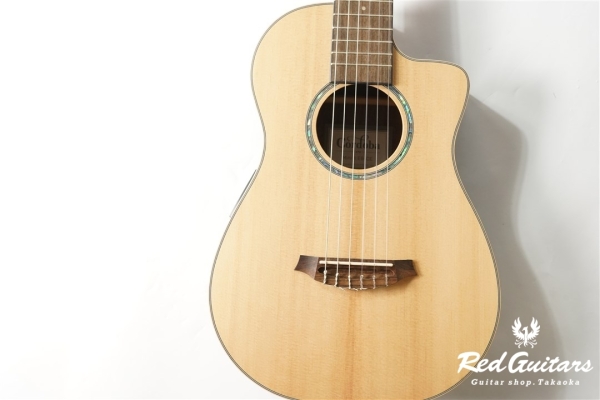 Mini II EB-CE